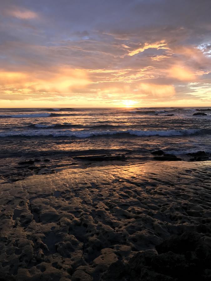 Готель Tamarindo Sunshine Екстер'єр фото